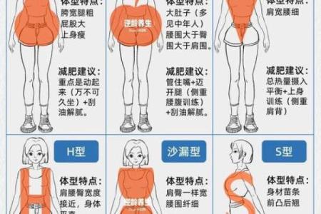 通过八字分析体型：了解命理如何影响体重与身材