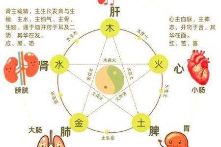如何辨别五行缺失及其对健康的影响