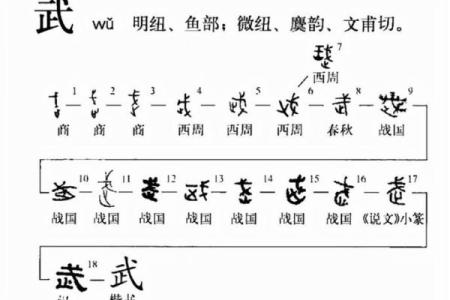 文命与武命：人生选择的两种力量