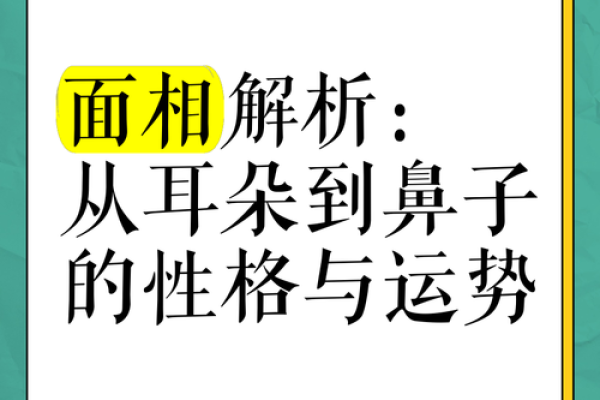 面相学中的耳朵解读：你的耳朵透露了什么人生密码