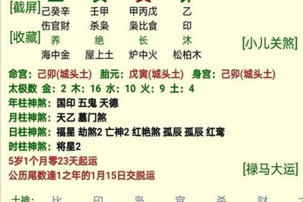 掌握生辰五行查询法，解锁个人命运密码