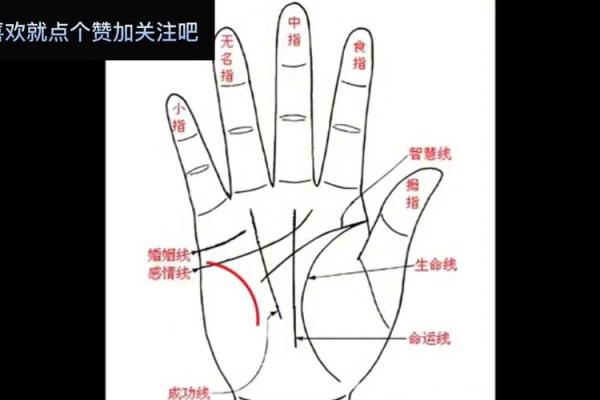 手相分析：从掌纹看健康风险