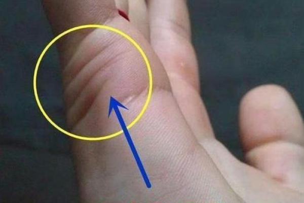 男人手相婚姻线解析：揭示感情与婚姻的秘密