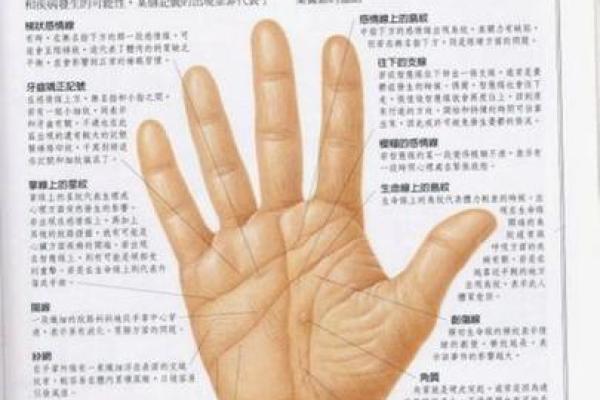 女性手相图解析：揭示掌纹背后的性格与命运秘密