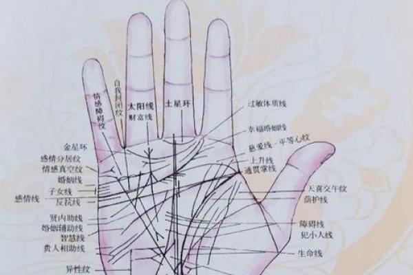 女性手相图解析：揭示掌纹背后的性格与命运秘密