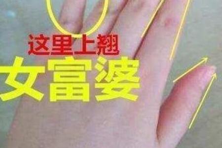 双飞蝴蝶命的命理特点及其影响因素