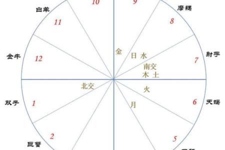 占星术排盘解析：如何通过星盘了解你的命运轨迹