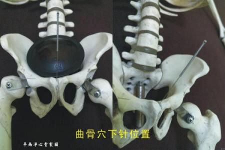 八字骨形态与健康状况的内在联系