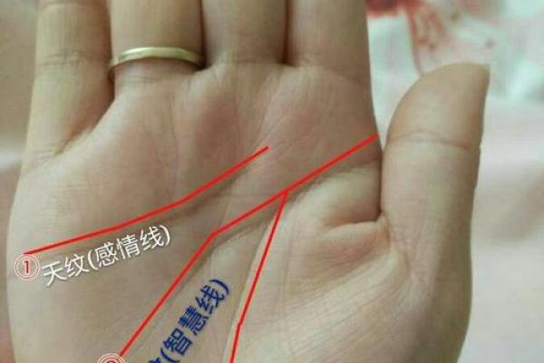 生孩子的手相解析：掌纹中的生育运势揭秘