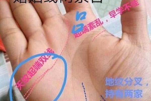 如何通过砂掌手相了解你的个性与未来