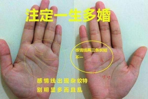 如何通过砂掌手相了解你的个性与未来