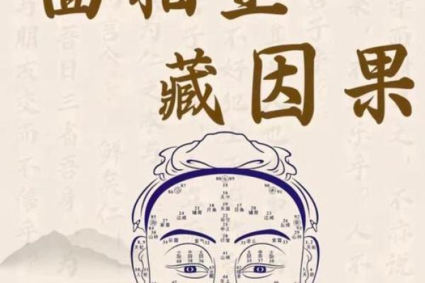 面相秘诀：面部线条与命运走向的微妙关系