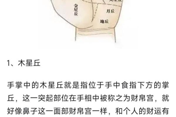 如何通过手相解读未来的运势与性格特征
