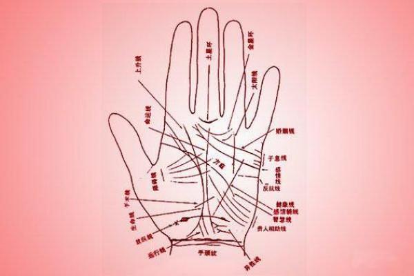 女人手相解读：掌纹中的幸福密码