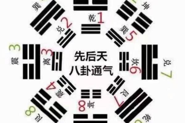 梅花卦排盘的基础知识与实战经验