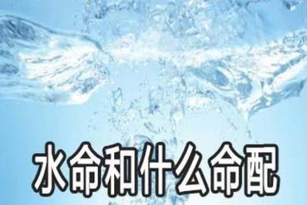 八字诗词的魅力与创作技巧探秘