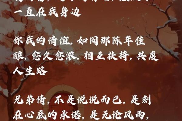 兄弟命：命运与兄弟情深的独特联系
