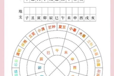 探索天干癸与地支酉的结合对八字的意义