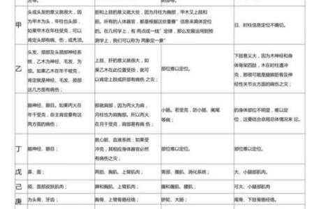 天干乙与五行之木的深层关系解析