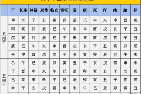 天干揭秘：解读中国命理中的庚申年奥秘