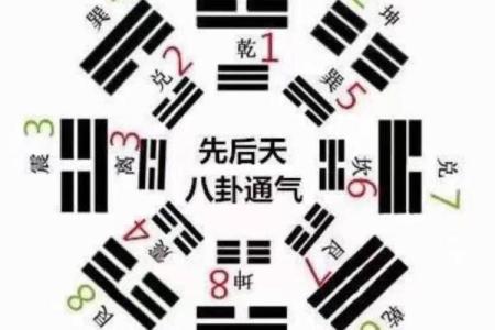 梅花卦排盘的基础知识与实战经验