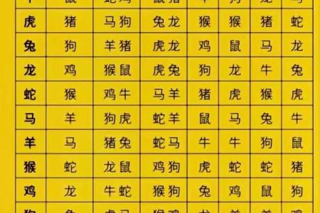 算卦八字：揭示命运的古老智慧与现代应用