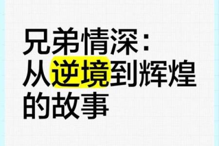 兄弟命：命运与兄弟情深的独特联系