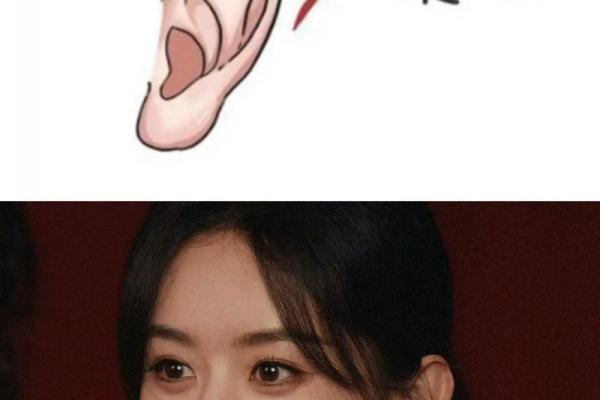 如何通过耳朵看面相：耳朵特征背后的性格解析