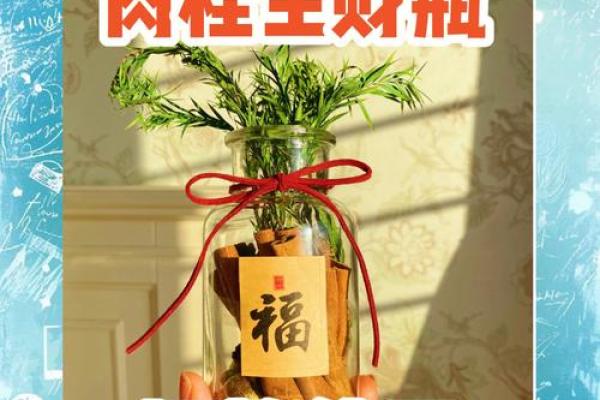摆放多肉植物在财位的风水禁忌与建议