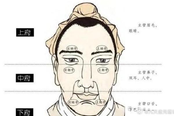 男人颧骨高的面相运势：优缺点与影响