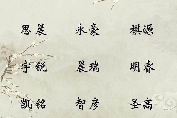 上海起名公司为您定制独一无二的名字解决方案