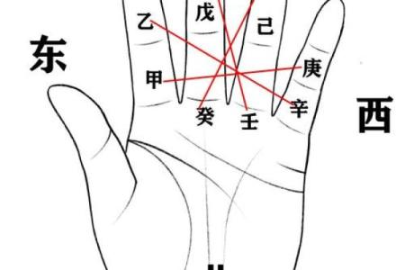手掌记天干的奥秘与应用解析