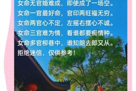 探讨好妻命：现代女性的命运与选择
