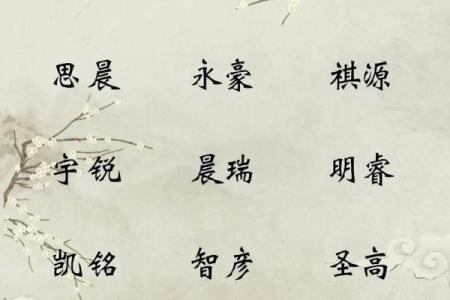 上海起名公司为您定制独一无二的名字解决方案