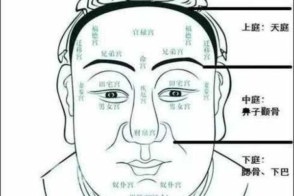 高颧骨面相的男性性格与命运解读
