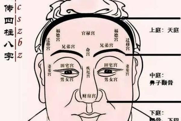 眼角下垂面相解析与风水影响解读