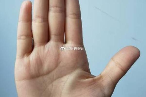 深入了解手相中的土丘特征与含义