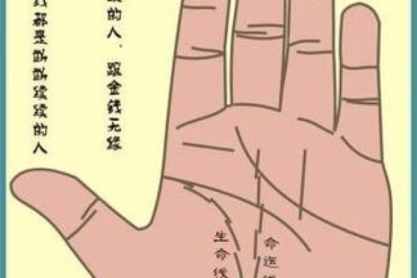 如何通过手相算命免费了解自己的命运