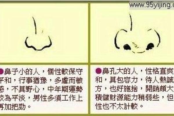 井泉水命的含义与命运走向探讨