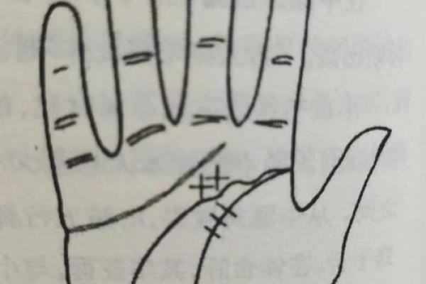 手相x纹的秘密：如何通过掌纹判断个人的心理状态？