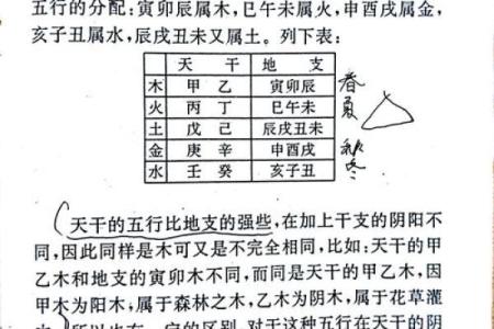 如何解读天干遇金对个人命运的作用
