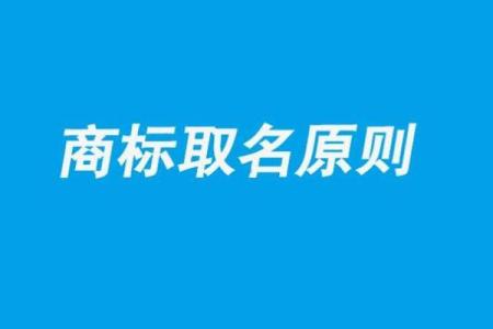 公司起名时需要遵循的法律规定与标准