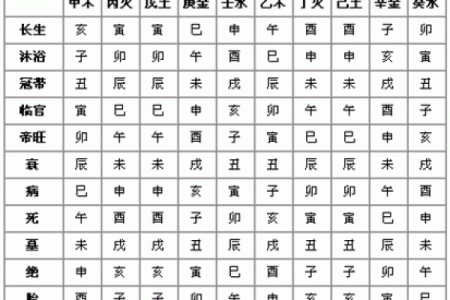 天干丁火的五行解读与应用分析