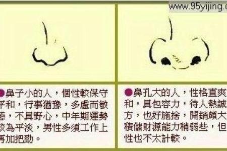 井泉水命的含义与命运走向探讨