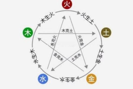 八字木多如何调和五行以达到最佳运势