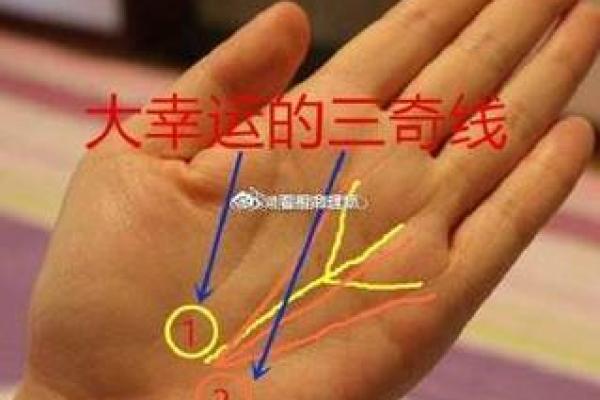 如何通过手相解读商界巨富的财富密码