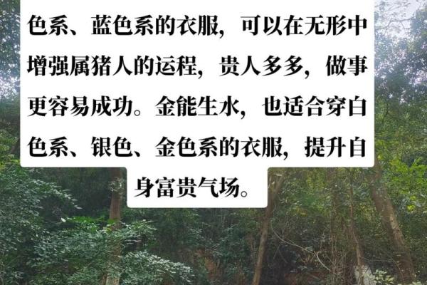 风水黑猪血的使用禁忌与最佳时机