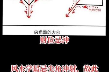 财位植物摆放禁忌与假期风水调整技巧