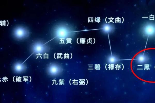 揭秘风水黑猪血在命理中的独特作用