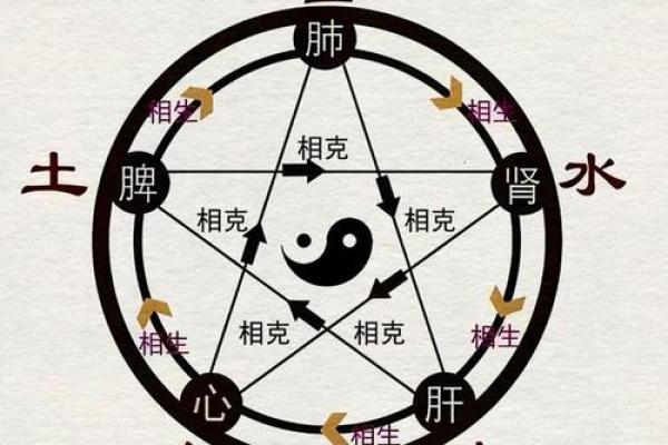八字学基础：如何快速理解四柱八字